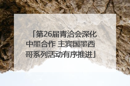 第26届青洽会深化中墨合作 主宾国墨西哥系列活动有序推进